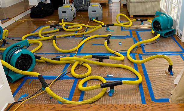 Professional Crawl Space Water Removal technician working in Norwell, MA